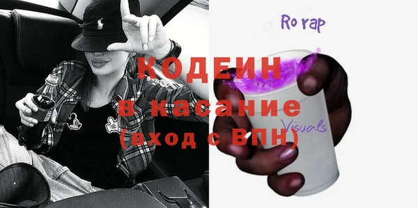 крисы Корсаков
