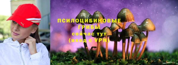 молекула духа Коряжма