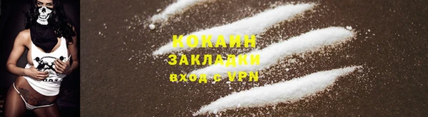 крисы Корсаков