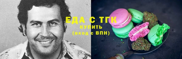 крисы Корсаков