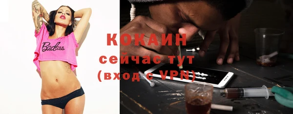 молекула духа Коряжма