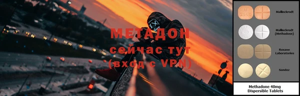крисы Корсаков