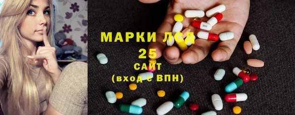 крисы Корсаков