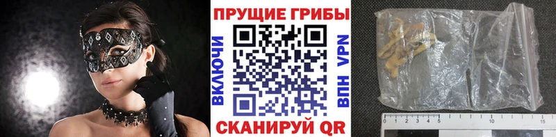 цена Нариманов OMG рабочий сайт Галлюциногенные грибы прущие грибы